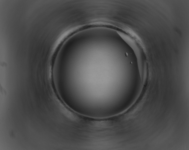 X0000090981376200708021449