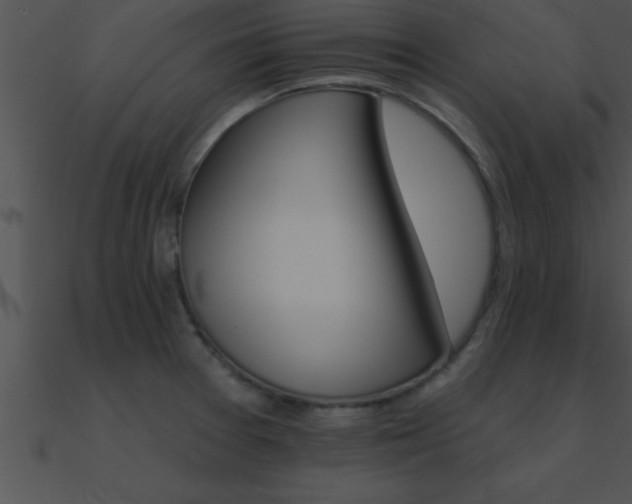 X0000090981377200708021449