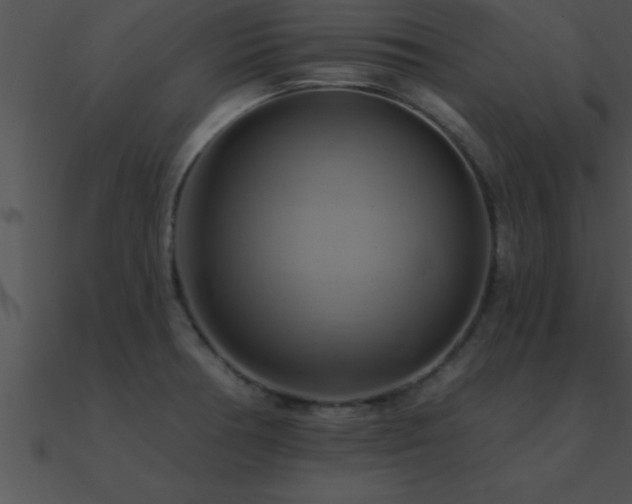 X0000090981378200708021449