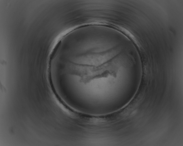 X0000090981379200708021449