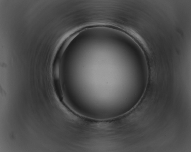 X0000090981380200708021449