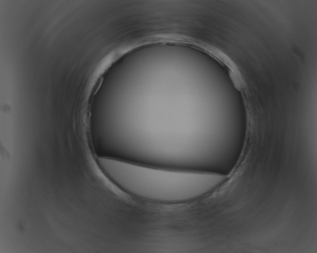 X0000090981381200708021449