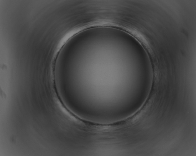 X0000090981382200708021449
