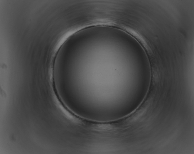 X0000090981383200708021449