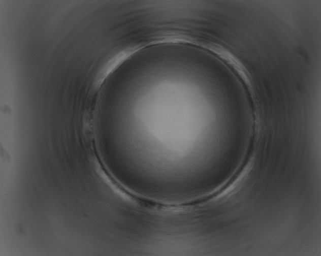X0000090981385200708021449