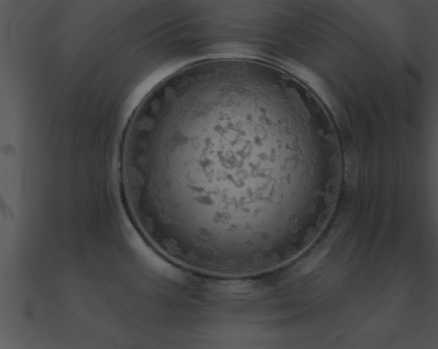 X0000090981387200708021449