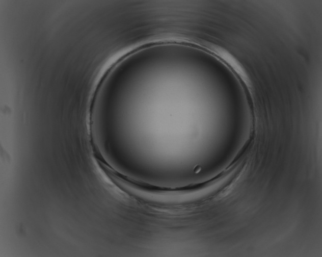 X0000090981388200708021449