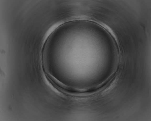 X0000090981389200708021449