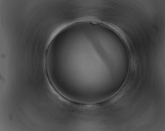 X0000090981390200708021449
