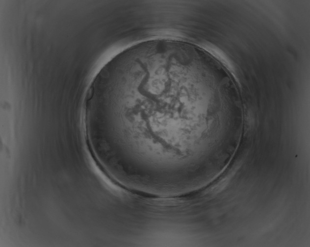 X0000090981391200708021449