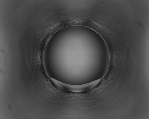 X0000090981394200708021449