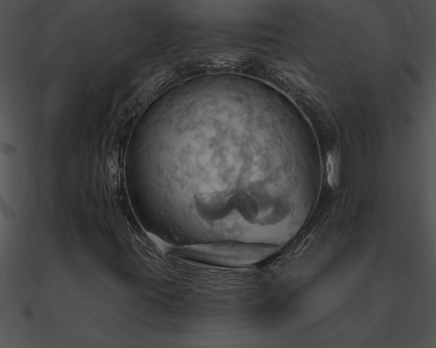 X0000090981395200708021449