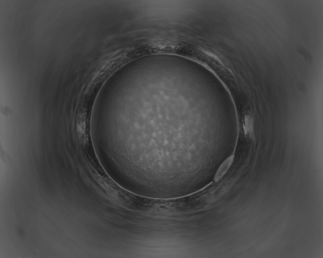 X0000090981396200708021449
