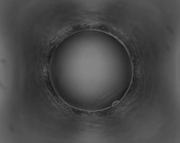 X0000090981397200708021449