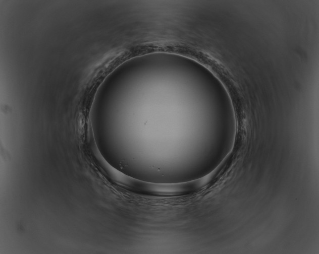 X0000090981398200708021449