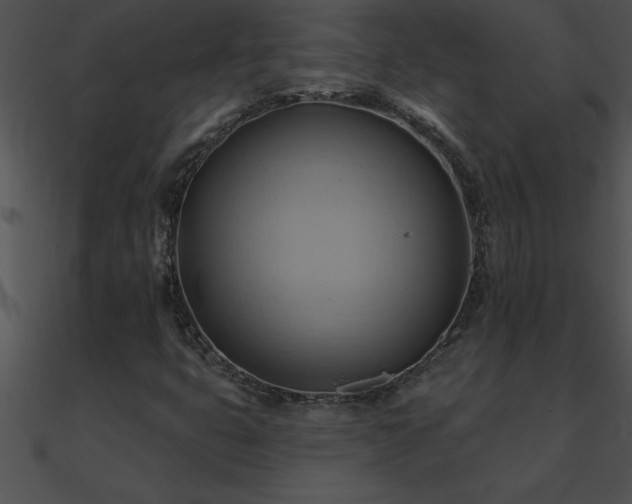 X0000090981399200708021449