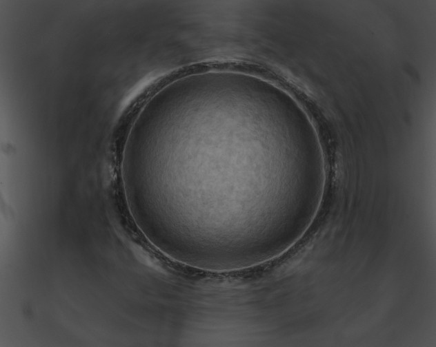 X0000090981400200708021449