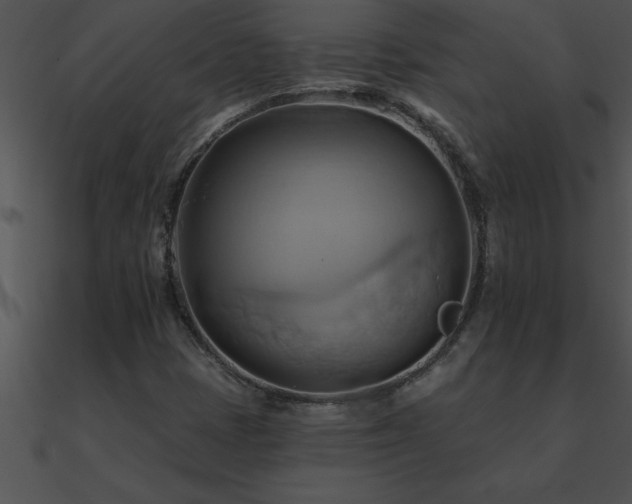 X0000090981401200708021449