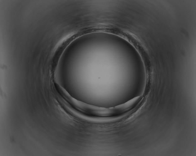 X0000090981402200708021449