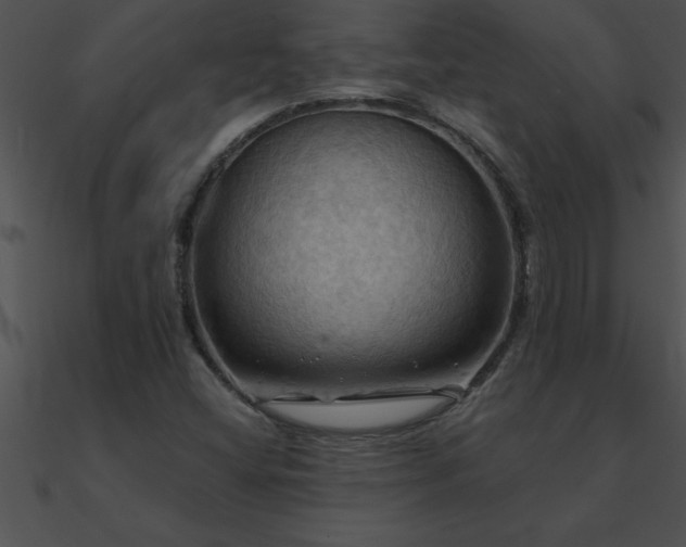 X0000090981404200708021449