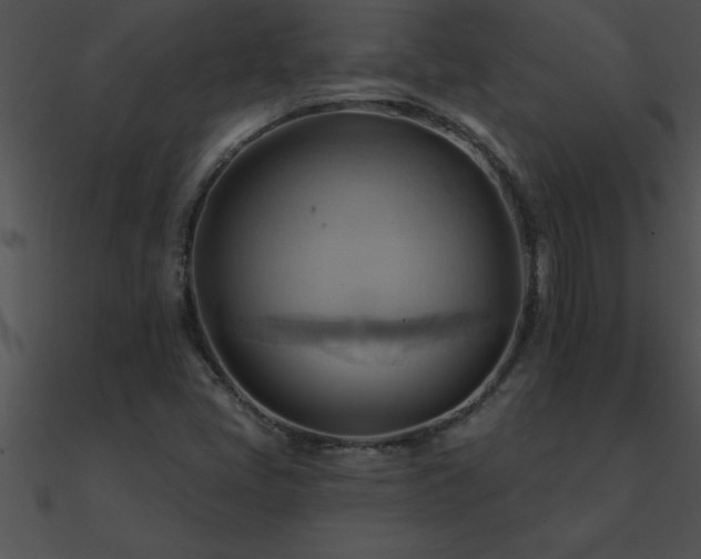 X0000090981405200708021449