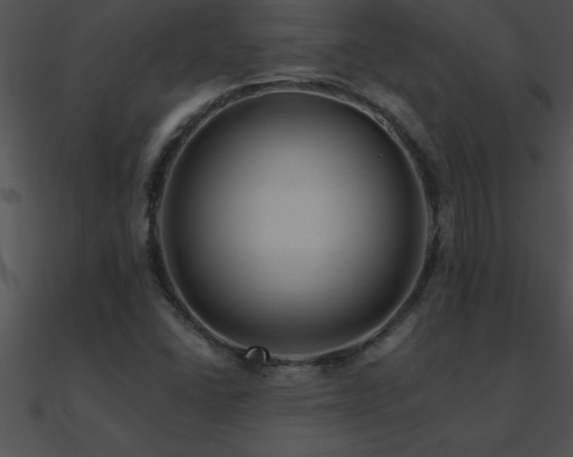X0000090981406200708021449