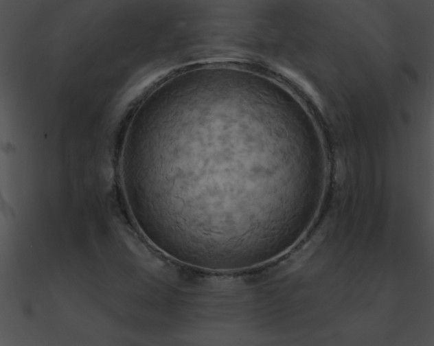 X0000090981407200708021449
