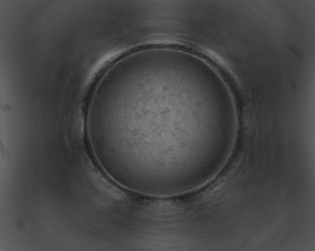 X0000090981408200708021449