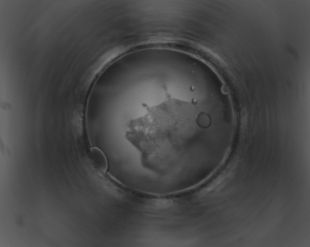 X0000090981409200708021449