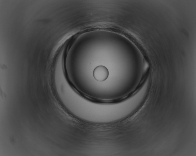 X0000090981410200708021449