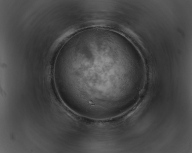 X0000090981411200708021449