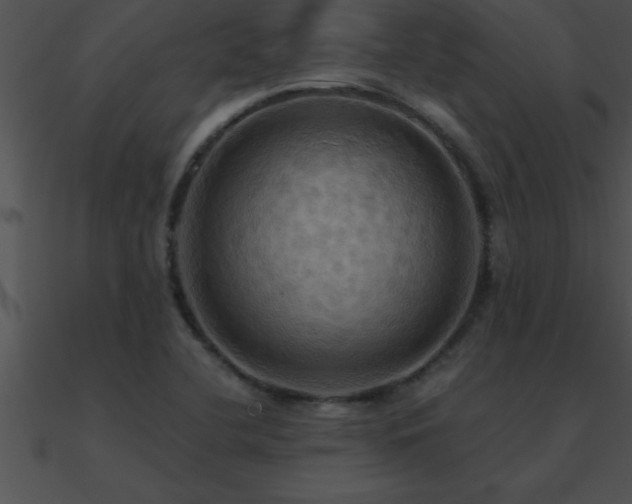 X0000090981412200708021449