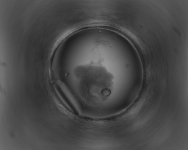 X0000090981413200708021449