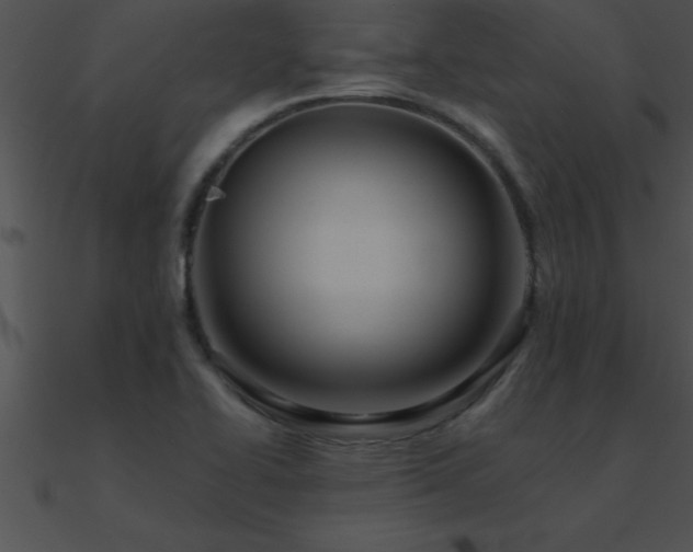 X0000090981414200708021449