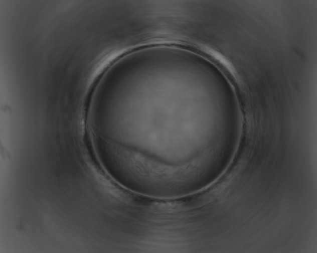 X0000090981415200708021449