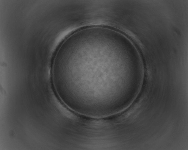 X0000090981416200708021449