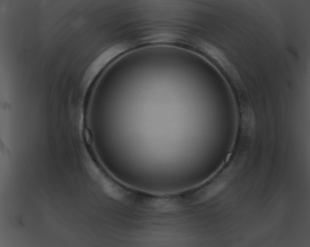X0000090981418200708021449