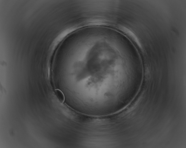 X0000090981419200708021449