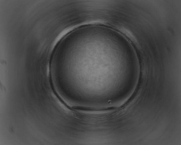 X0000090981420200708021449