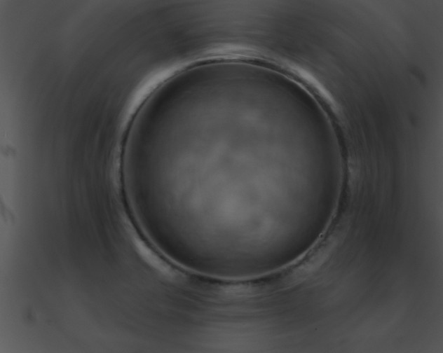X0000090981421200708021449