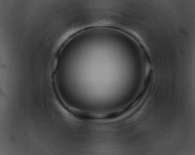 X0000090981422200708021449