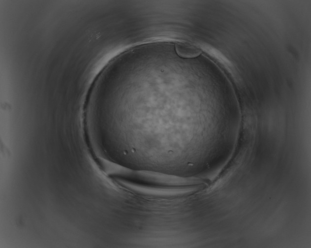 X0000090981423200708021449