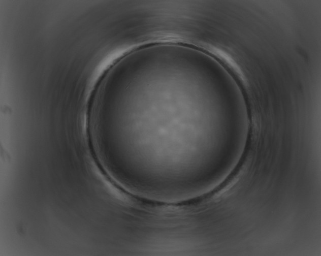 X0000090981424200708021449