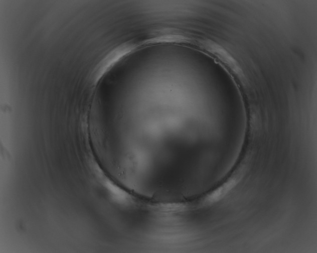 X0000090981425200708021449