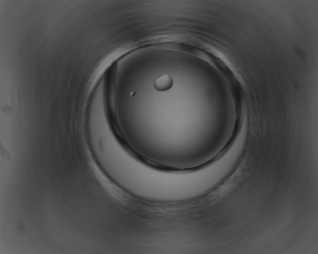 X0000090981426200708021449