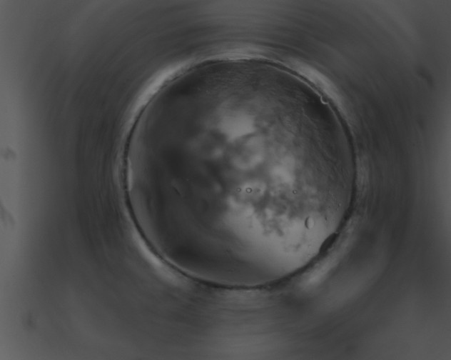 X0000090981429200708021449