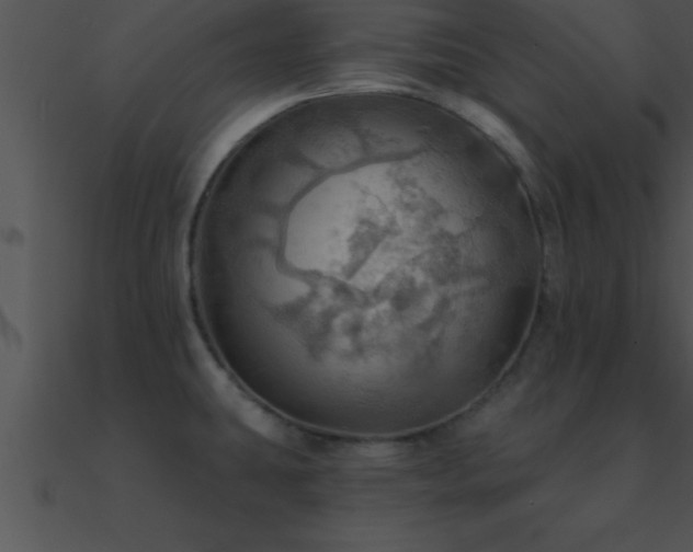 X0000090981431200708021449