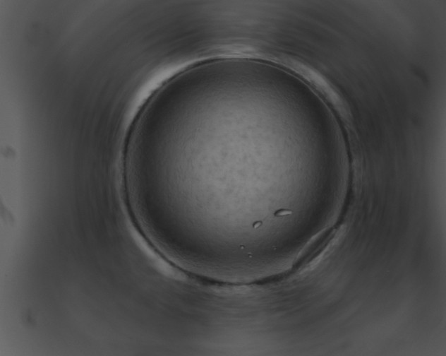 X0000090981432200708021449