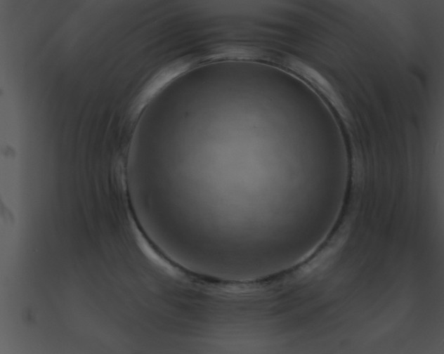 X0000090981433200708021449