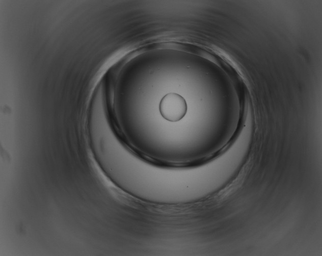 X0000090981434200708021449
